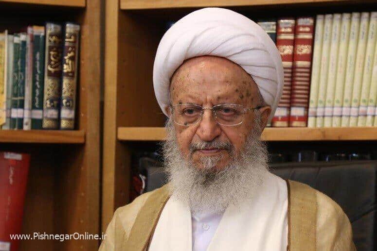 عکسی از دیدار مشاور رئیس جمهور با مرجع تقلید معروف