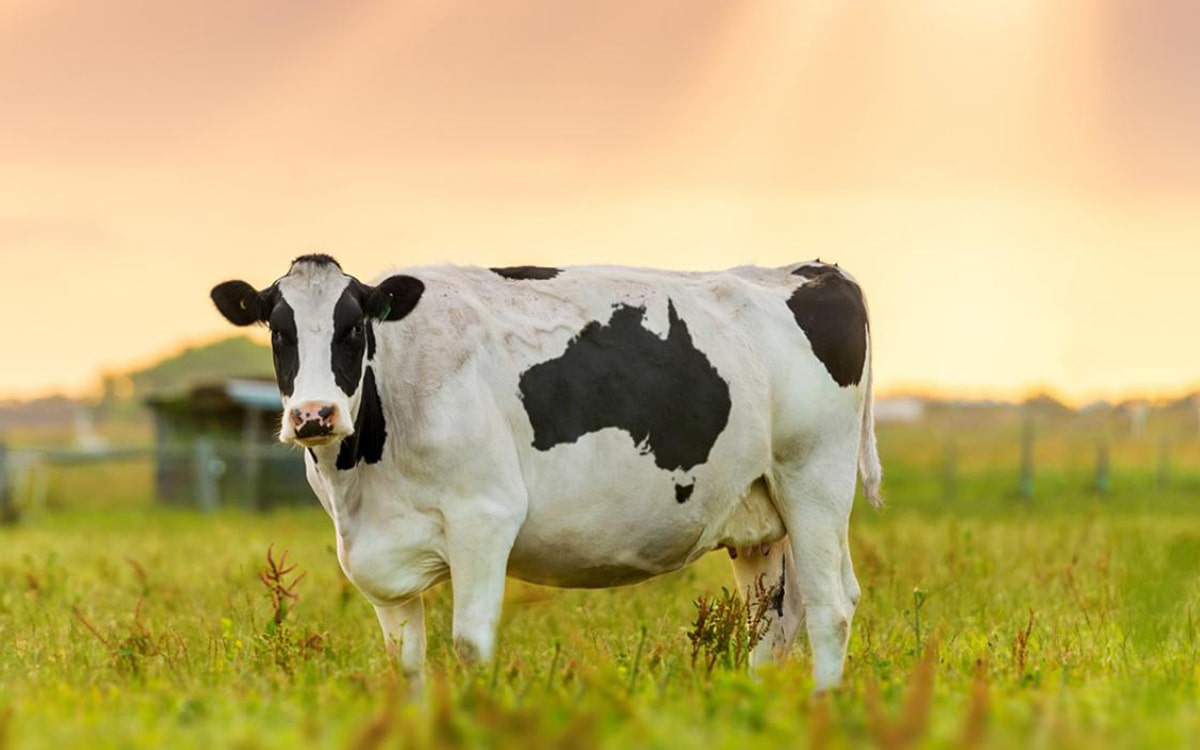 7236403e 93ca 4a72 93a0 a0d4df77bbaf