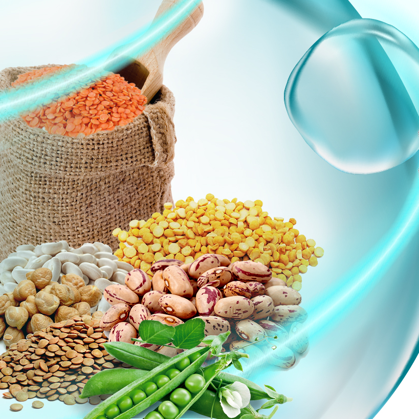 76fdc826 9a22 4e7d bfb9 b8962195daf8