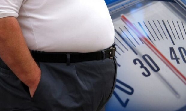 رابطه مصرف گوشت سفید با افزایش وزن و چاقی رابطه مصرف گوشت سفید با افزایش وزن و چاقی