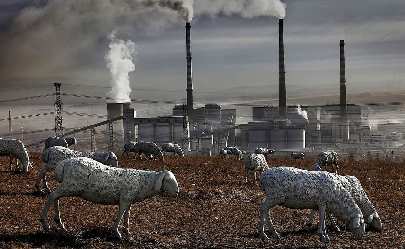 c43e723b 568f 4d12 ad9a 4ab29fb17c6d