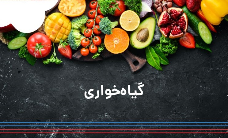 مضرات مصرف ماهی و اختلال حافظه در کودکان؛ بررسی تاثیرات محصولات حیوانی و مزایای منابع گیاهی 3 34fbfd43 7612 475a 8e5e 7df8ca74380a