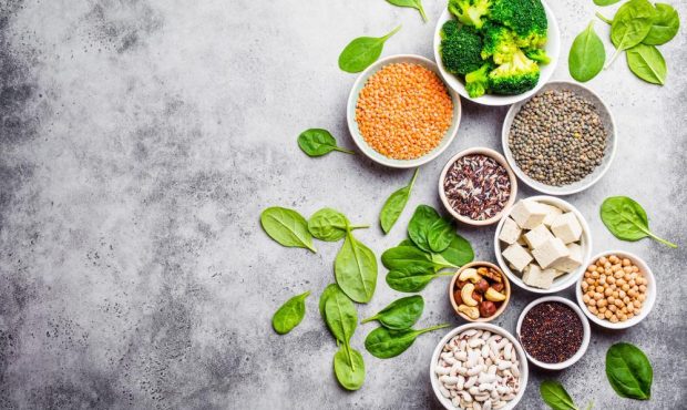 منابع پروتئین گیاهی کدامند؟ مزایا و مضرات در برابر محصولات حیوانی منابع پروتئین گیاهی کدامند؟ مزایا و مضرات در برابر محصولات حیوانی