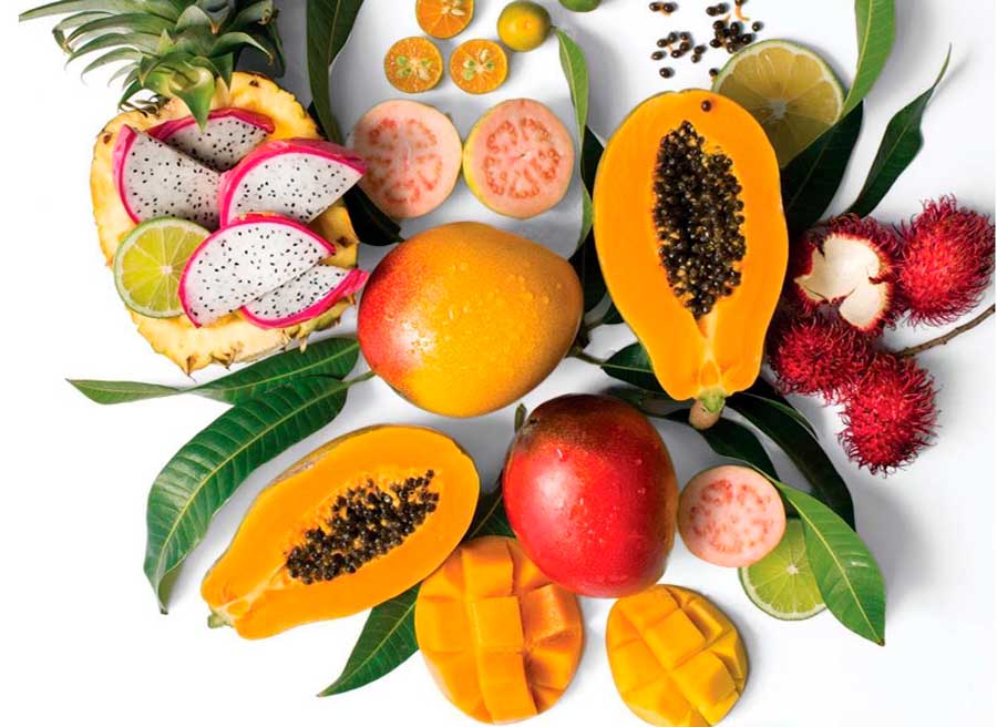 آیا گیاهخواری گران است؟ بررسی کامل مزایا،  هزینهها 3 8719c2cd 57bf 4aac afb9 34e762d0b8fc