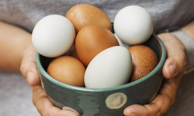 تخممرغ و مشکلات کبدی: بررسی علمی و راهکارهای تغذیهای سالم تخممرغ و مشکلات کبدی: بررسی علمی و راهکارهای تغذیهای سالم