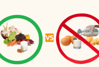 رژیمهای غذایی وگان و وجترین: معرفی، مزایا، چالشها و تاثیرات رژیمهای غذایی وگان و وجترین: معرفی، مزایا، چالشها و تاثیرات