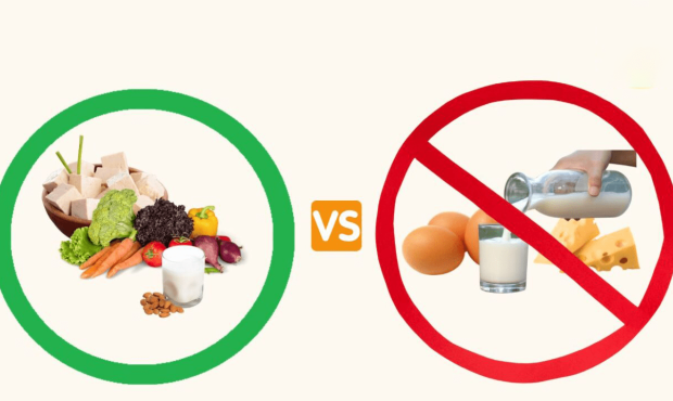 رژیمهای غذایی وگان و وجترین: معرفی، مزایا، چالشها و تاثیرات رژیمهای غذایی وگان و وجترین: معرفی، مزایا، چالشها و تاثیرات