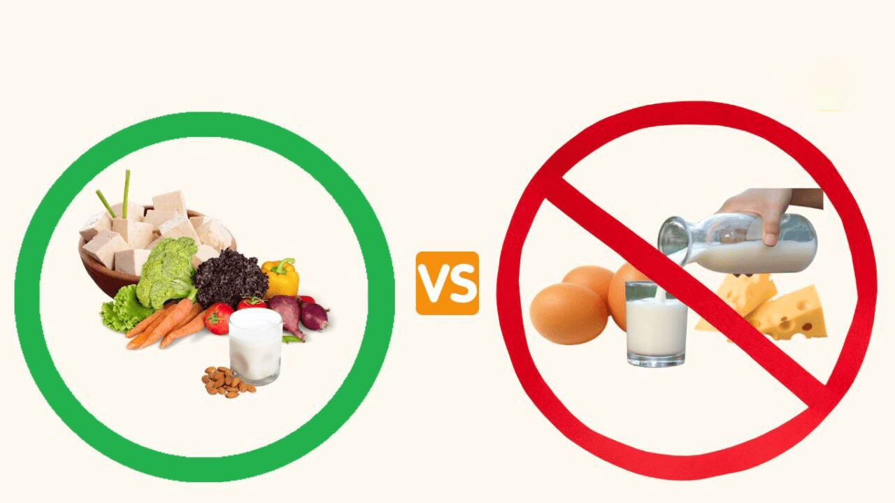 رژیمهای غذایی وگان و وجترین: معرفی، مزایا، چالشها و تاثیرات 1 ff8e211f 1f0a 41c1 9e79 30883b785e53