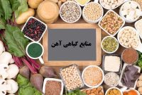 مکملهای ضروری برای وگانها و بررسی مضرات مصرف محصولات حیوانی به همراه مزایای منابع جایگزین گیاهی مکملهای ضروری برای وگانها و بررسی مضرات مصرف محصولات حیوانی به همراه مزایای منابع جایگزین گیاهی