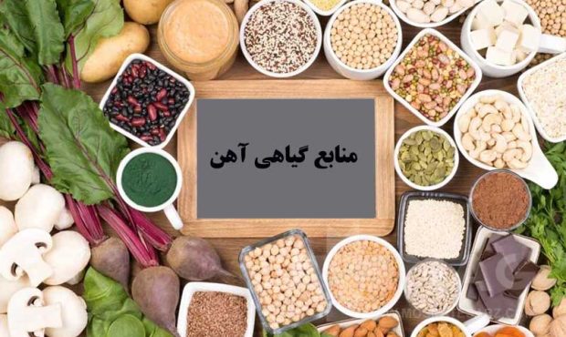 مکمل‌های ضروری برای وگان‌ها و بررسی مضرات مصرف محصولات حیوانی به همراه مزایای منابع جایگزین گیاهی